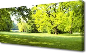 Obraz canvas Parkowa Aleja w Słońcu