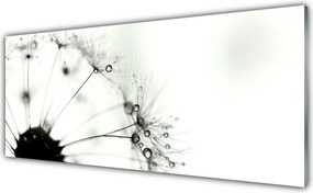 Panel Kuchenny Puszysta Kula Mniszka