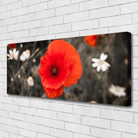 Obraz drukowany na płótnie Harmonijna Roślinność Kwiatowa