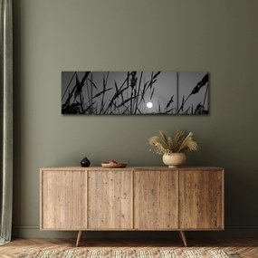 Obraz - Łąka z zachodem słońca (170x50 cm)