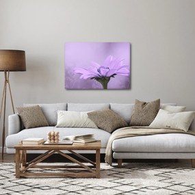 Obraz - Fioletowy kwiat (70x50 cm)