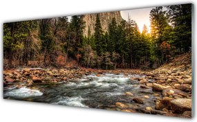 Panel Szklany do Kuchni Jezioro W Objęciach Lasu