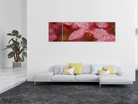 Obraz - Obraz biletu w trybie makro (170x50 cm)