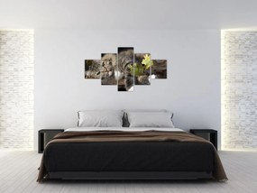 Obraz - Leżący kot (125x70 cm)