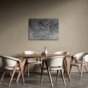 Obraz - Wiejska łąka (70x50 cm)