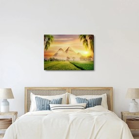 Obraz - Piramidy (70x50 cm)