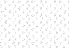 Fototapeta - Gałązki (196x136 cm)