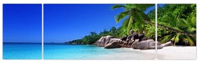 Obraz plaży na wyspie Praslin (170x50 cm)