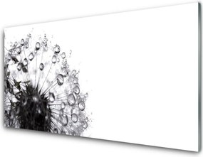 Panel Szklany do Kuchni Lekkość Mniszka Lekarskiego