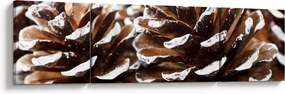 Obraz - Pączki (170x50 cm)