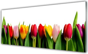 Panel nad blat kuchenny Pąki Tulipanów W Ogrodzie