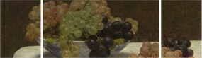 Obraz - Henri Fantin-Latour, Still Life with Grapes and a Carnation, reprodukcje (170x50 cm)