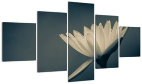 Obraz kwiatu (125x70 cm)