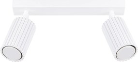 Lampa Sufitowa Minimalistyczny Karbon, Aluminium - 2 Źródło - L.30 X H.16.5 Cm - Biały