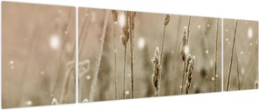Obraz - Harmonious Meadow (170x50 cm)