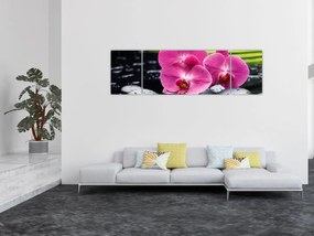 Obraz - Różowe orchidee z liściem palmy (170x50 cm)