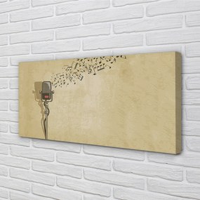 Zdjęcie na płótnie Wokalna Ekspresja Muzyczna