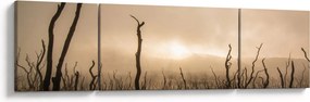 Obraz - Nagie drzewa (170x50 cm)