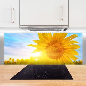 Panel Szklany Słonecznik w Pełnym Rozkwicie