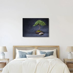 Obraz na szkle - Bonsai (70x50 cm)