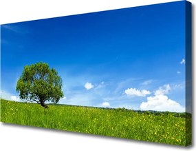 Obraz na płótnie Zielony Pejzaż Parkowy