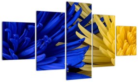 Obraz - szczegóły kwiatów (125x70 cm)