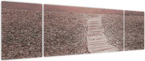 Obraz - Plaża żwirowa (170x50 cm)