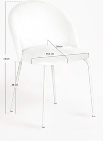 Biayaksamitne krzeso Dalnia