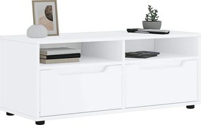 Mebel TV VISNES Biały 100x40x38 cm z Drewna Inżynieryjnego z Przechowywaniem i Montażem na Ścianie