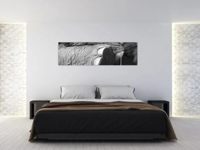 Obraz - Noga słonia (170x50 cm)
