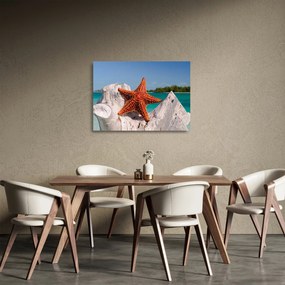 Obraz na szkle - rozgwiazda (70x50 cm)