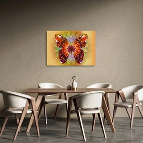 Obraz na szkle - Etno motyl (70x50 cm)