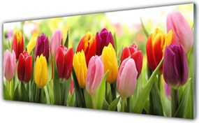 Panel Szklany Pastelowy Bukiet Tulipanów