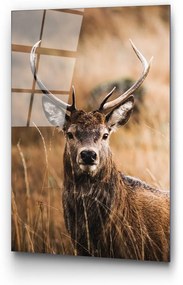 Szklany obraz 70x100 cm Deer – Wallity