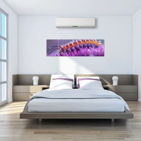 Obraz - Caterpillar (170x50 cm)