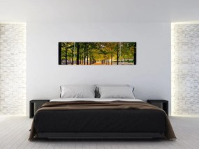 Obraz alei jesiennych drzew (170x50 cm)