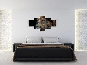 Obraz - Majestatyczny lew (125x70 cm)
