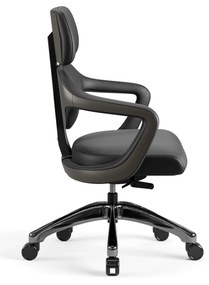 Fotel gabinetowy Diablo V-Modular, Carbon Black