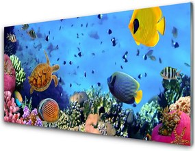 Panel nad blat kuchenny Podwodny Świat Rafy Koralowej
