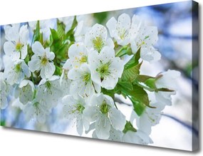 Obraz canvas Korony Drzew w Pełni Lata