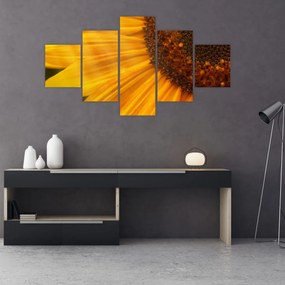 Obraz - Słoneczniki (125x70 cm)