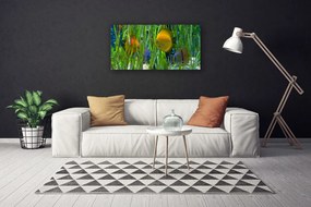 Obraz canvas Podwodny Świat Oceanu