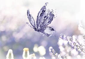 Obraz na szkle - Motyl i lawenda (70x50 cm)