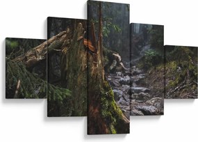 Obraz - W lesie (125x70 cm)