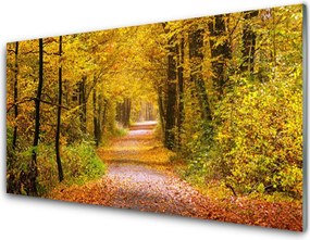 Panel Szklany Spacer Przez Słoneczny Las