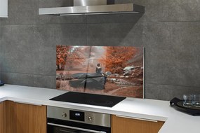 Szklany Panel Kobieta w Jesiennych Górach