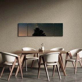 Obraz nocnego nieba z drzewami (170x50 cm)