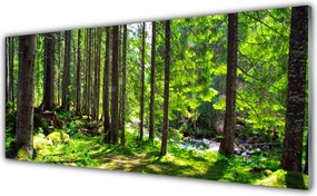 Szkło Dekoracyjne do Kuchni Gęstwina Leśnej Natury