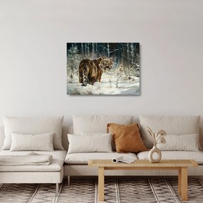 Obraz na szkle - Tygrys w zaśnieżonym lesie, obraz olejny (70x50 cm)