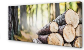 Obraz drukowany na płótnie Esencja Drewna Z Lasu